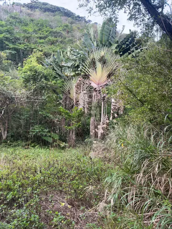 「「場所は秘密」が参加の条件　おもてなしアプリで見つけた、“秘境の滝”と沖縄文化に出会う旅」の画像