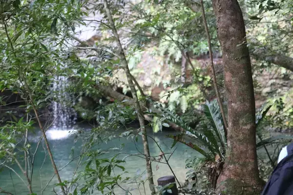 「「場所は秘密」が参加の条件　おもてなしアプリで見つけた、“秘境の滝”と沖縄文化に出会う旅」の画像