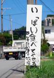 「［沖縄days］多くの大人は思ってます　沖縄・南城市」の画像1