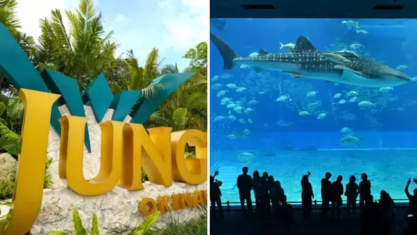 ジャングリアと美ら海水族館がセットに　沖縄北部周遊チケット発売