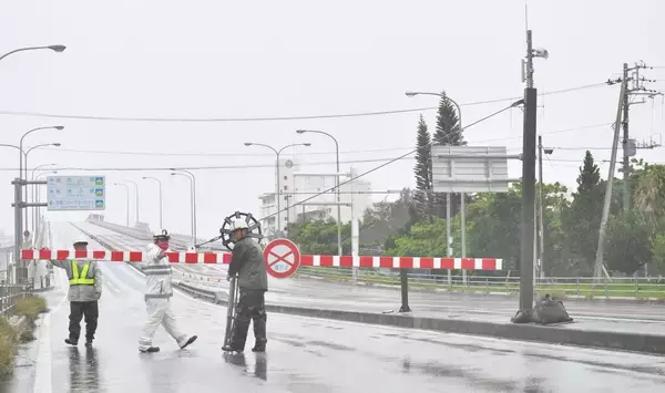 「【台風6号ドキュメント】象徴のガジュマル倒れる　沖縄本島に3年ぶり直撃 いま何が？ 写真と動画で随時更新」の画像