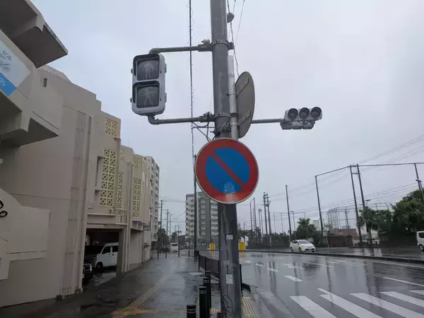 「【台風6号】象徴のガジュマル倒れる　沖縄本島に3年ぶり直撃 いま何が？ 写真と動画で随時更新」の画像