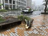 「【台風6号ドキュメント】沖縄本島に3年ぶり直撃　いま何が？　写真と動画で随時更新」の画像3