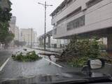 「【台風6号ドキュメント】沖縄本島に3年ぶり直撃　いま何が？　写真と動画で随時更新」の画像4