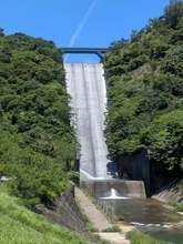 沖縄本島内の６ダム、貯水率100％に　福地ダムや安波ダムでオーバーフロー【動画あり】