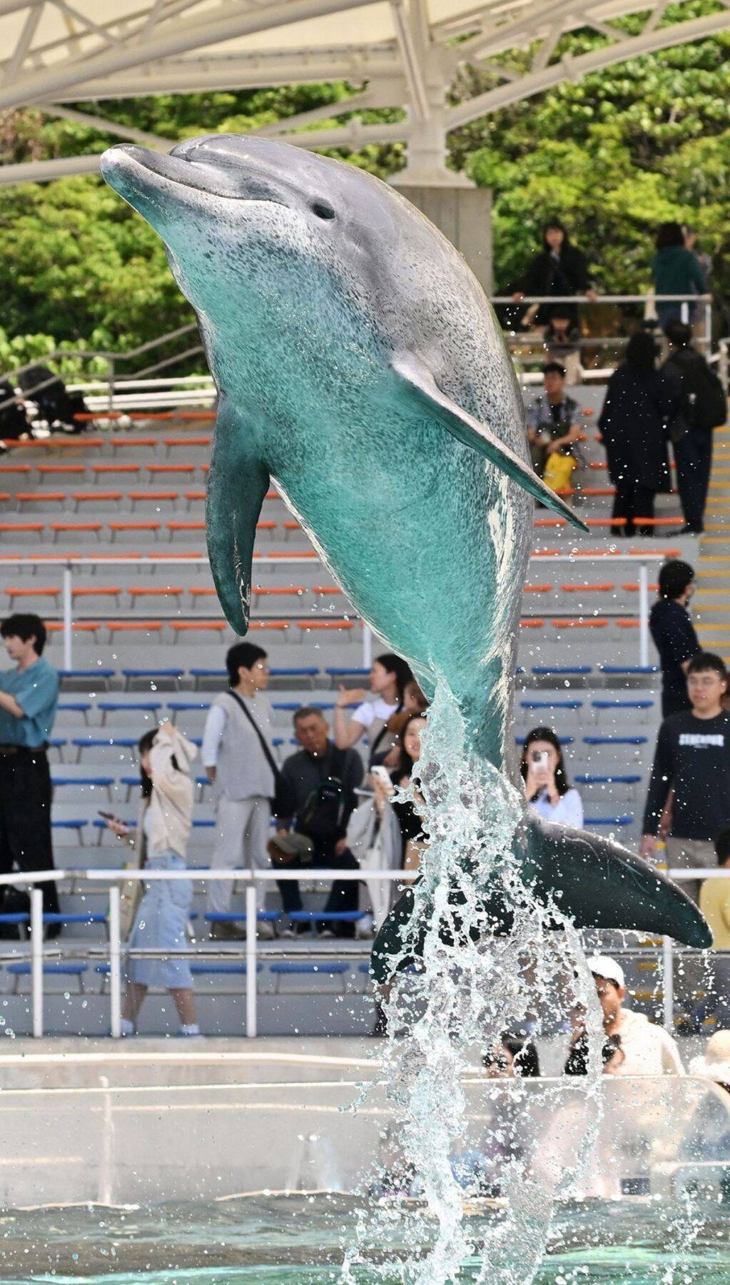 さよならオキちゃん　半世紀愛された「沖縄の顔」【11月29日～12日7日 タイムス＋プラスから】