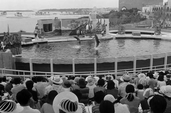 「さよならオキちゃん　半世紀愛された「沖縄の顔」【11月29日～12日7日 タイムス＋プラスから】」の画像