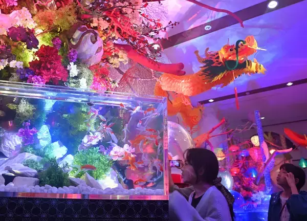 水槽を優雅にゆらゆら　五感で金魚の魅力楽しむ日本最大級のイベント　沖縄ライカムで始まる【動画あり】