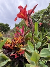 ことし全国初の真夏日　沖縄・波照間で30.5度　県内の観測史上最も早く