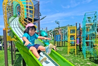 新しい遊具に園児歓声　長い滑り台やロープウエーなど　沖縄・糸満のロンドン杜公園