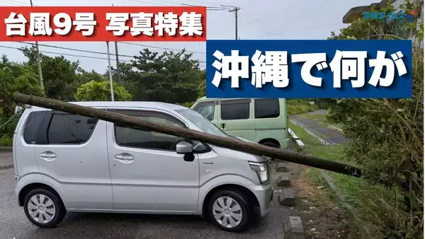 台風9号接近、沖縄の今　県内の様子を随時更新中【写真・動画】