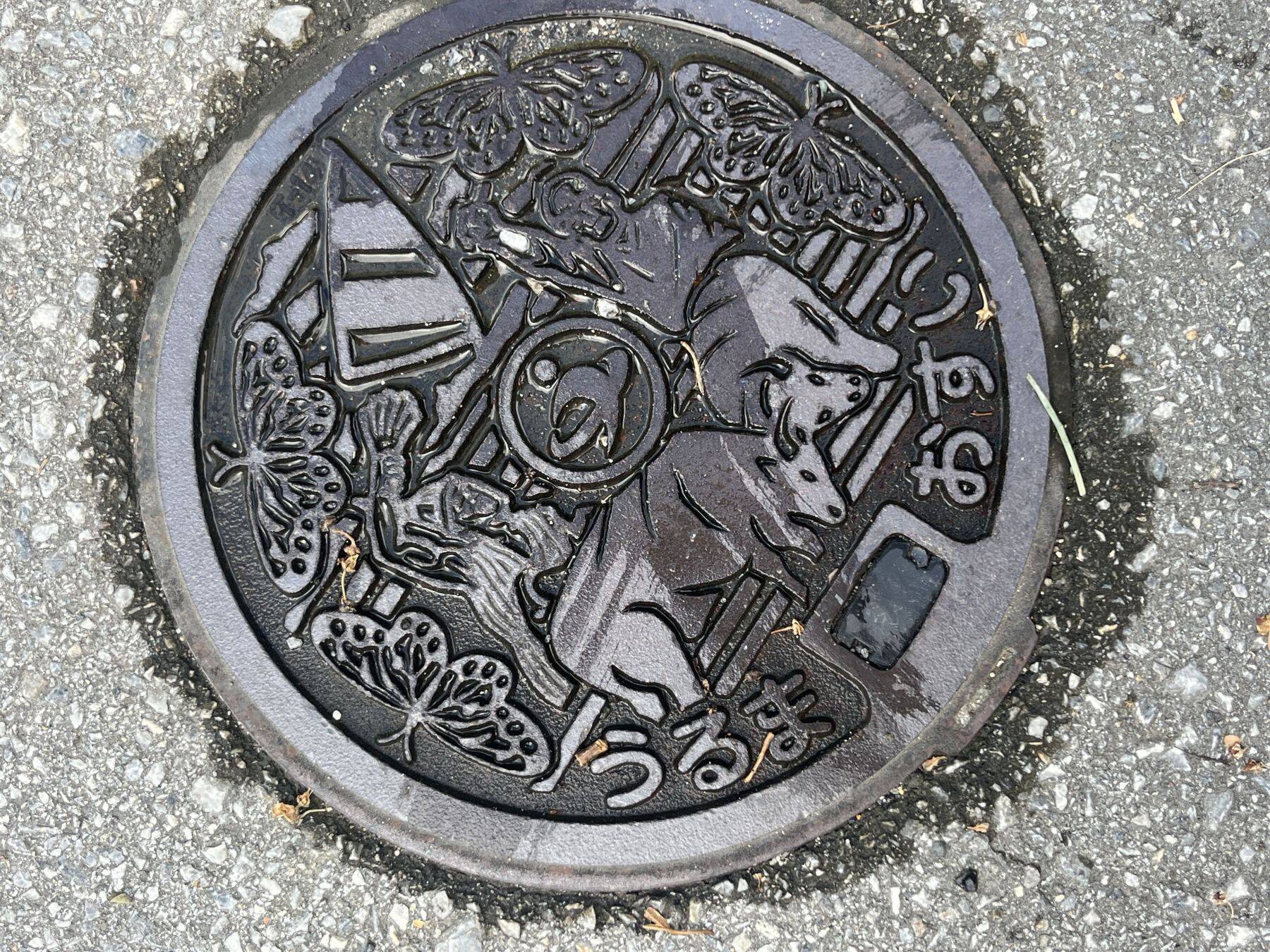 闘牛に乗ってみる？ 1トン超えの巨体と触れ合う、ディープな沖縄【地元密着・観光体験】