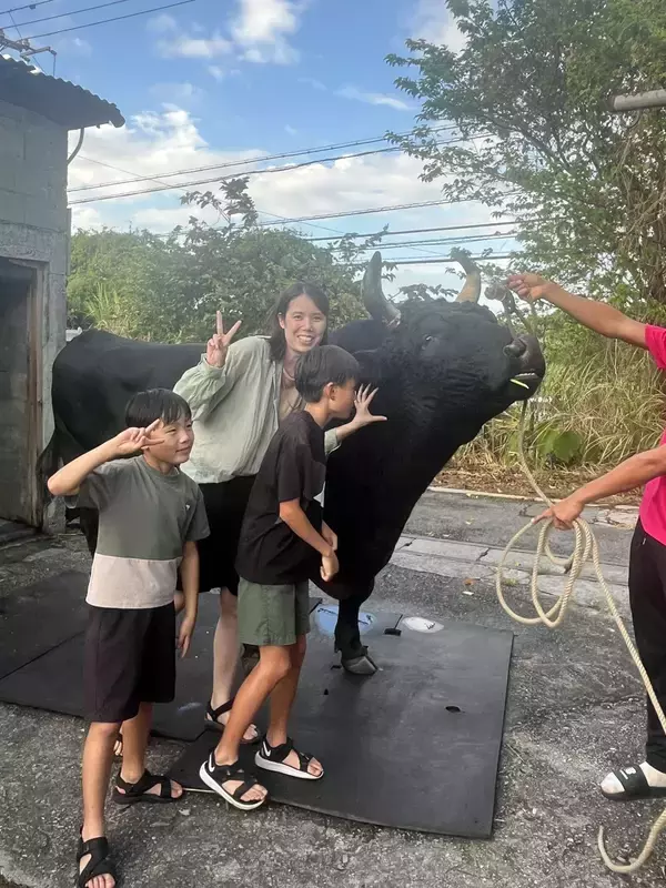 「闘牛に乗ってみる？ 1トン超えの巨体と触れ合う、ディープな沖縄【地元密着・観光体験】」の画像