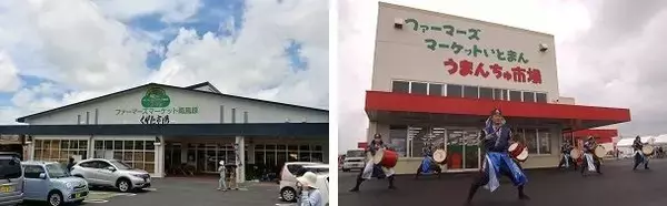 【台風6号】南風原町の「くがに市場」・糸満市の「うまんちゅ市場」、6月1日(月)は終日休業