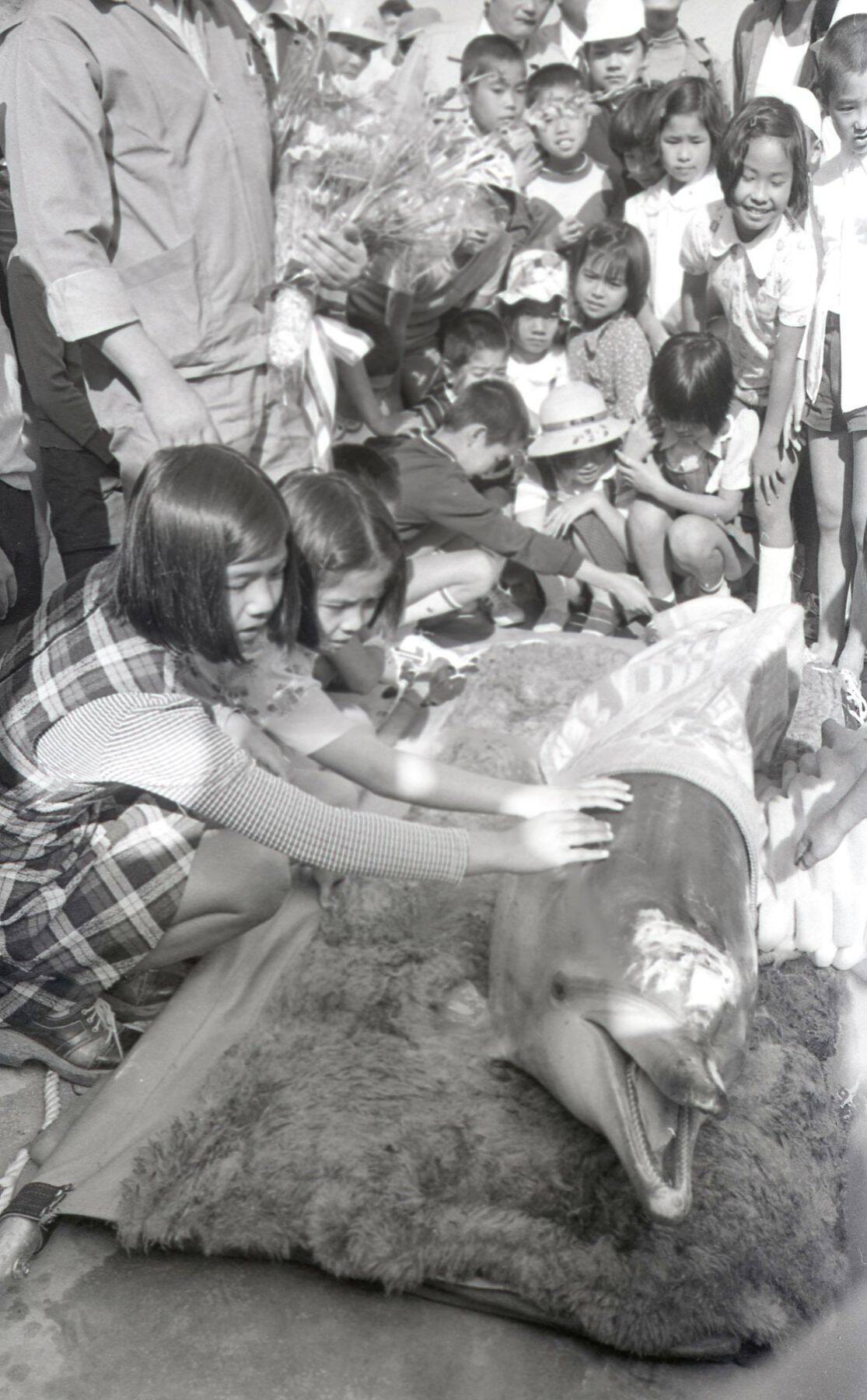 【追悼】ありがとうオキちゃん　“15頭から始まった物語”　レジェンドの半世紀を振り返る