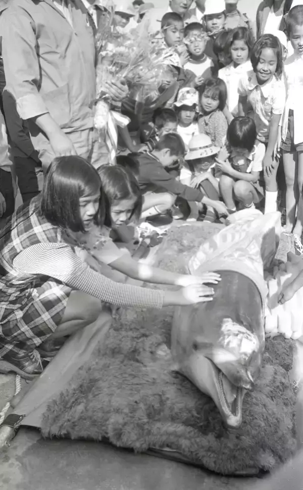 「【追悼】ありがとうオキちゃん　“15頭から始まった物語”　レジェンドの半世紀を振り返る」の画像