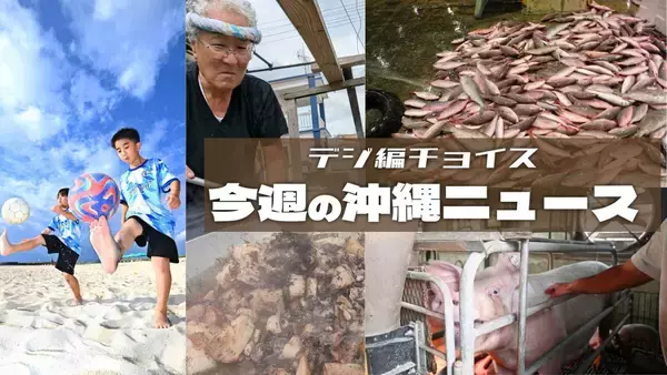 沖縄から東大法学部に推薦合格　海外経験ゼロの小5が英検準1級取得も　沖縄発「スーパーキッズ」の実像【タイムス＋プラスから】