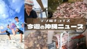 沖縄から東大法学部に推薦合格　海外経験ゼロの小5が英検準1級取得も　沖縄発「スーパーキッズ」の実像【タイムス＋プラスから】