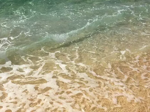 「カニを取りに行く」ホテルの調理師が行方不明　海岸にバイク残される　イザリ漁をしていたか　沖縄・石垣島