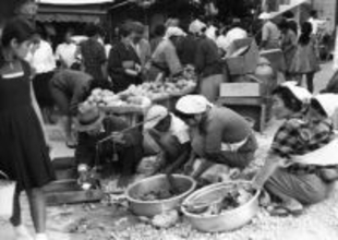 「沖縄尚学優勝」などテーマ別も　沖縄タイムス社が写真ライブラリー開設　1950年代から4300枚　法人向け、ネット決済可