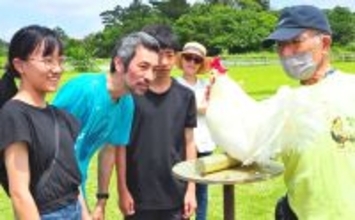 「ケッ、ケェーケッ」　沖縄の地鶏「チャーン」の美声を競う大会　「歌声も色合いもきれい」と喜ぶ親子