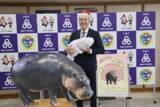「「世界三大珍獣」ミニカバ　沖縄こどもの国へ　2026年春から県内初の展示」の画像2