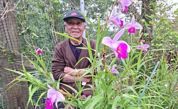 山で出会ってハマった　78歳、庭に広がる20種の“ランの世界” 　沖縄・名護市