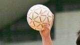 「琉球コラソンU15が全国準優勝　ハンドボール春の中学校選手権」の画像1