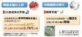 「台風はさらに強くなる？ 猛暑日が増える？ 「将来ではない」沖縄の気候変動は“進行中”」の画像10