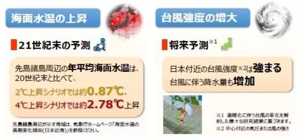 「台風はさらに強くなる？ 猛暑日が増える？ 「将来ではない」沖縄の気候変動は“進行中”」の画像