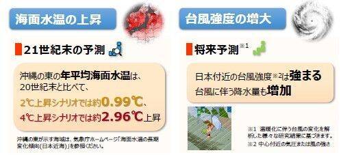 台風はさらに強くなる？ 猛暑日が増える？ 「将来ではない」沖縄の気候変動は“進行中”