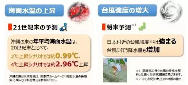 「台風はさらに強くなる？ 猛暑日が増える？ 「将来ではない」沖縄の気候変動は“進行中”」の画像