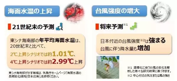 「台風はさらに強くなる？ 猛暑日が増える？ 「将来ではない」沖縄の気候変動は“進行中”」の画像