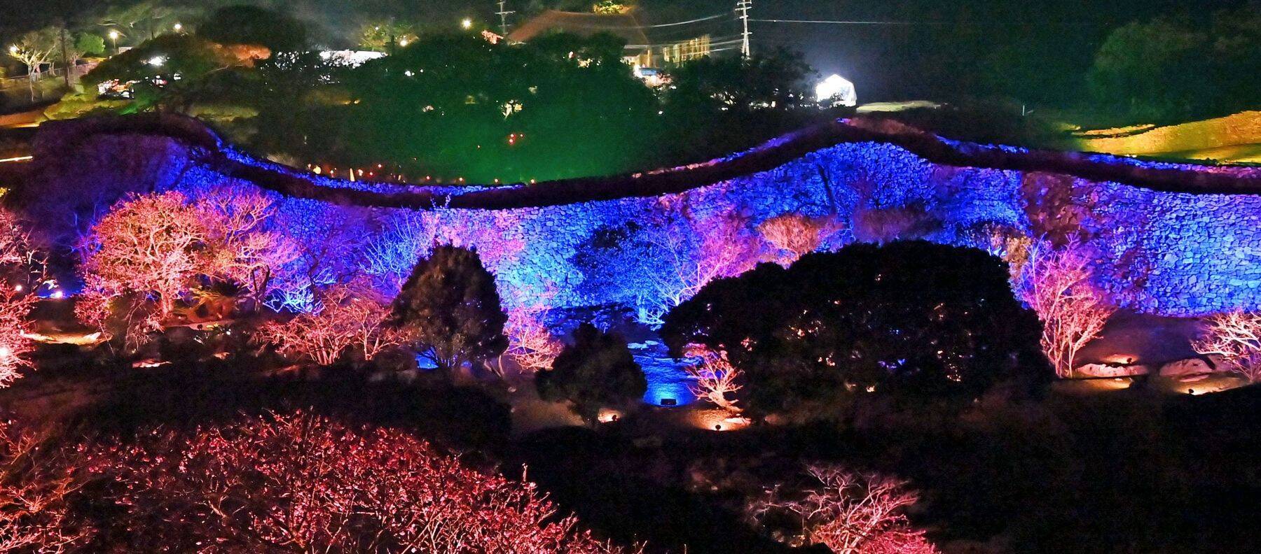 ほころぶ桜　春色鮮やかな沖縄　名護市・今帰仁村の桜祭りにぎわう