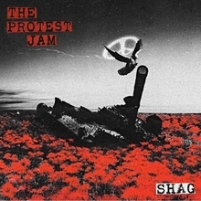 SHAG、1stアルバムが180g重量盤2枚組のアナログレコードで発売決定