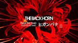 「THE BACK HORN、新曲「ヒガンバナ」配信リリース決定＆配信キャンペーンもスタート」の画像1