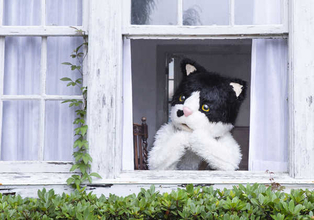 むぎ(猫)、ニューEP収録曲「窓辺の猫 feat. つじあやの」が『プレバト!!』のEDテーマに決定