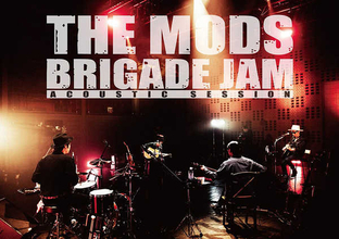 THE MODS、アコースティックライブを収めたDVD『BRIGADE JAM』をリリース