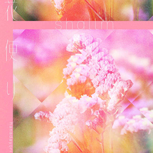 shallm、5th 配信シングル「花便り」のリリースが決定！ワンフレーズの歌詞動画を公開！