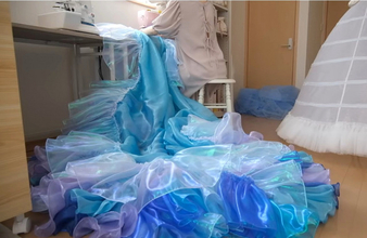 ハンドメイド作家が本気で『シンデレラのドレス』を作ったら…10日後の完成度が“魔法級”「器用どころじゃない！」「本物のシンデレラ…」