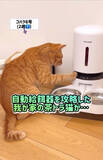 「「これ、AIじゃないの？」「手つきがプロ」”自動給餌機”を攻略した猫の”男前”っぷりがたまらない！」の画像1