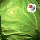 「DREAMS COME TRUE、「何度でも」が自身2作目の累積再生数1億回突破【オリコンランキング】」の画像1