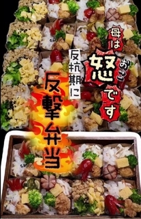 小さなお弁当がいっぱい…？　携帯没収に反抗する娘、母が作った“仕返し弁当”が斜め上だった「意地で作りました」