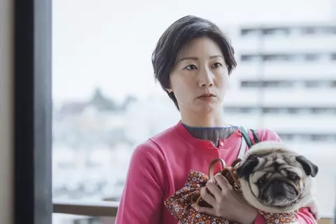 土居志央梨、TBS連ドラ初出演　『時すでにおスシ!?』で松山ケンイチと再共演