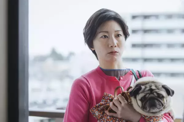 土居志央梨、TBS連ドラ初出演　『時すでにおスシ!?』で松山ケンイチと再共演