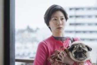 土居志央梨、TBS連ドラ初出演　『時すでにおスシ!?』で松山ケンイチと再共演