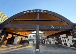 「キリンが座って休んでいる」動物園スタッフが激写　オフショット投稿に「とてもレア」「折りたたんでます！」