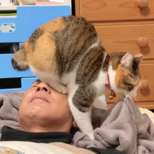 愛とは耐えること…顔面をフミフミされてもじっと耐えるパパに8.9万いいね「まさに至福の時間」