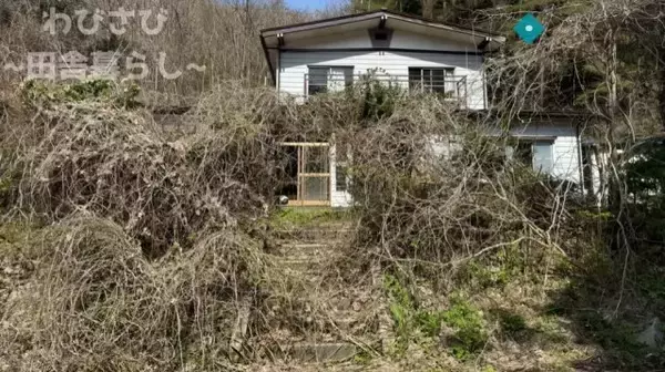 10年放置された土地を1ヵ月草刈りした結果…脱サラ男性の奮闘に「もう、開拓精神ｗ」「驚くべき変貌ぶり！」