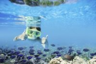 おすすめの海外アクティビティ予約サイトランキング初発表！ 2026年1位は？